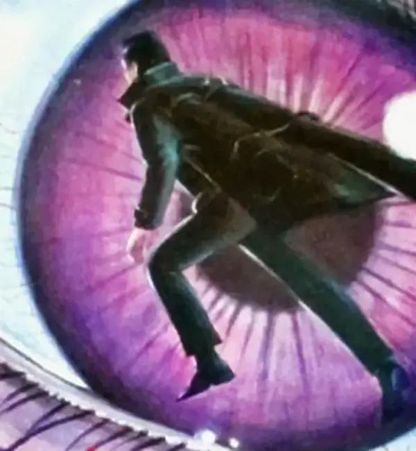 the visitor in the eye 1977